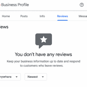 Google Business Profile dashboard without customer reviews